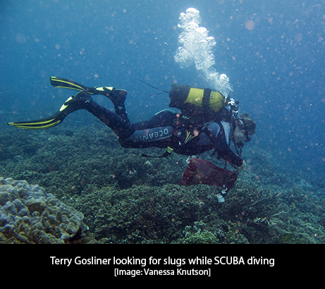 Terry SCUBA diving