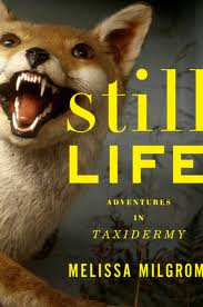 still_life_book_cover