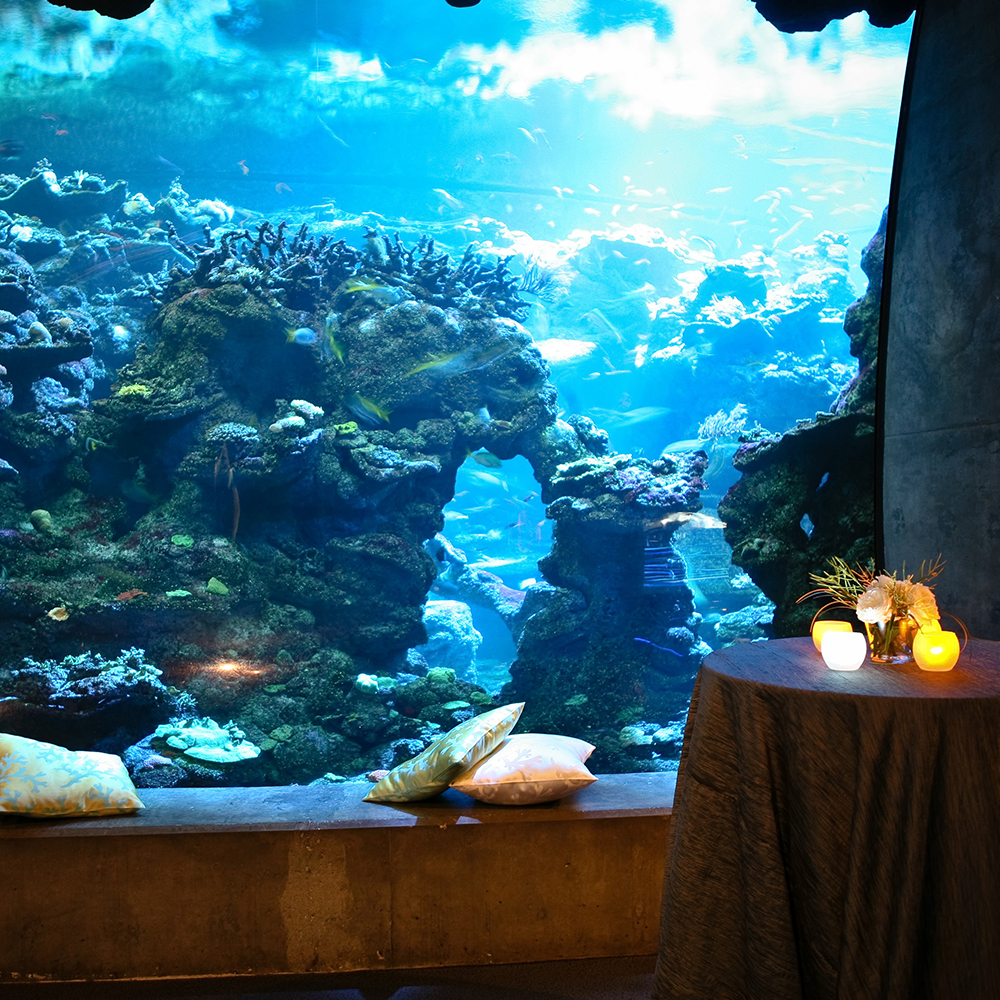 aquarium set up for an event