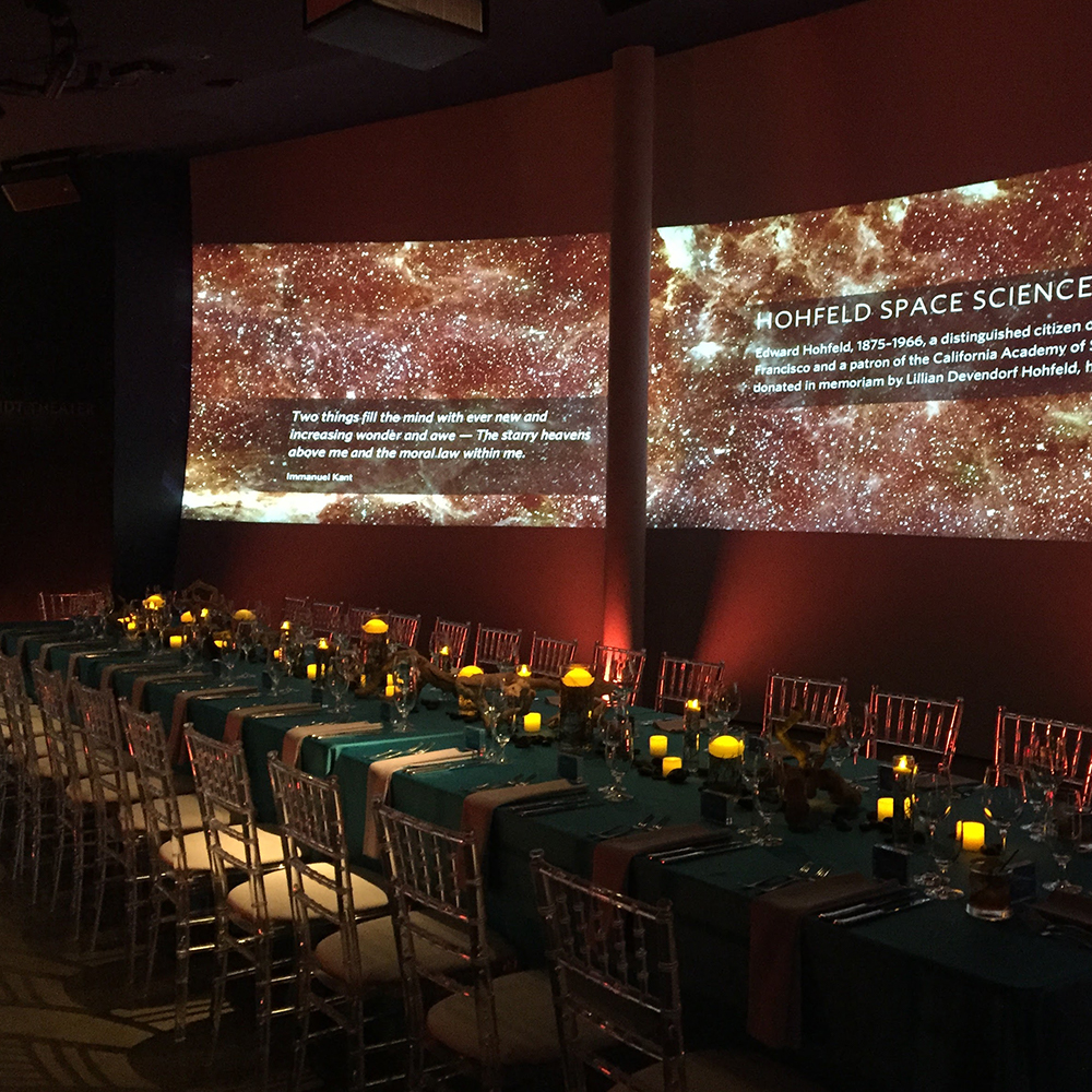 Event with long table surrounded by projection screens