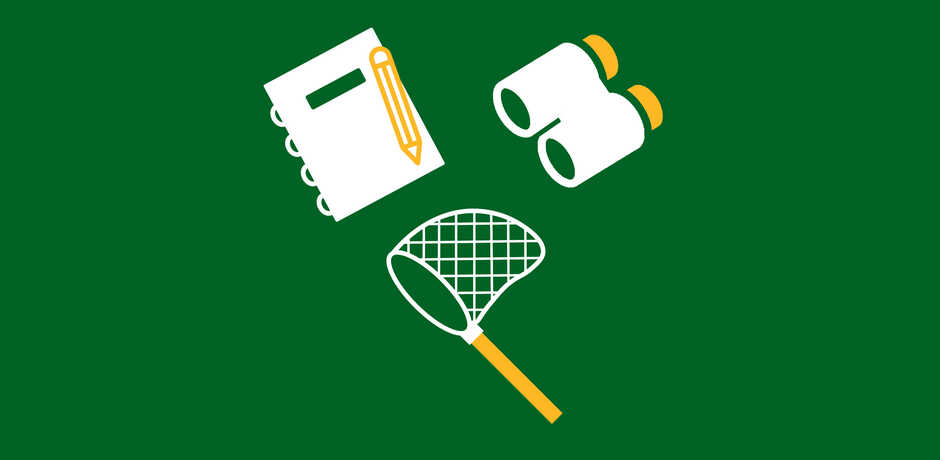 Notebook, butterfly net, and binoculars icon against green background