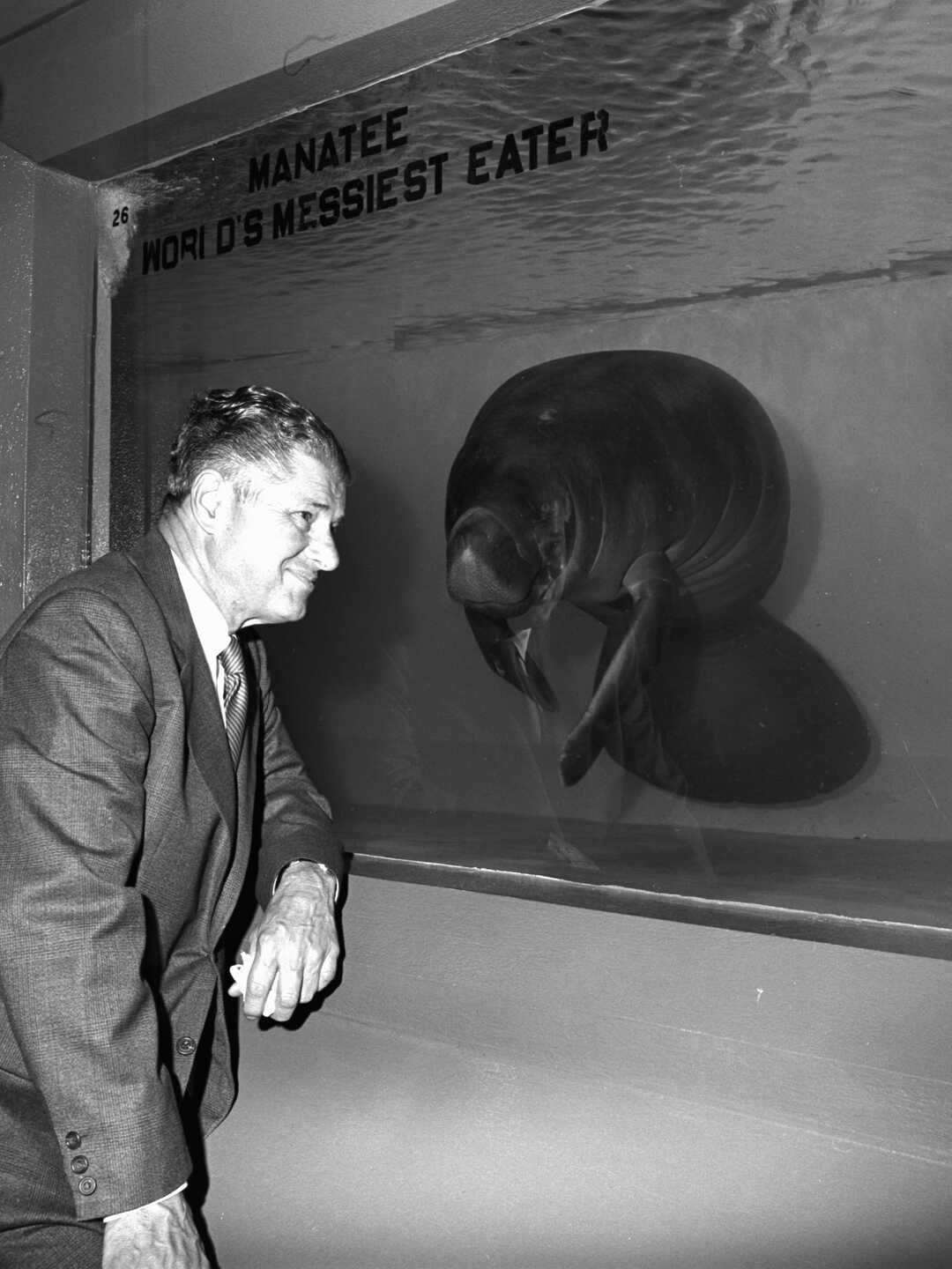 Former aquarium director Earl Herald with Butterball the manatee