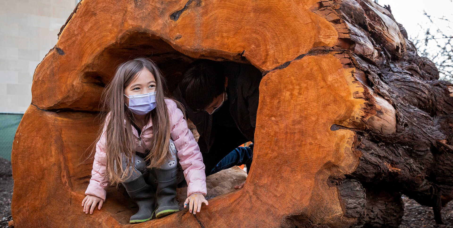 Masked girl plays inside a giant hollowed-out log in Wander Woods nature playspace at the Academy