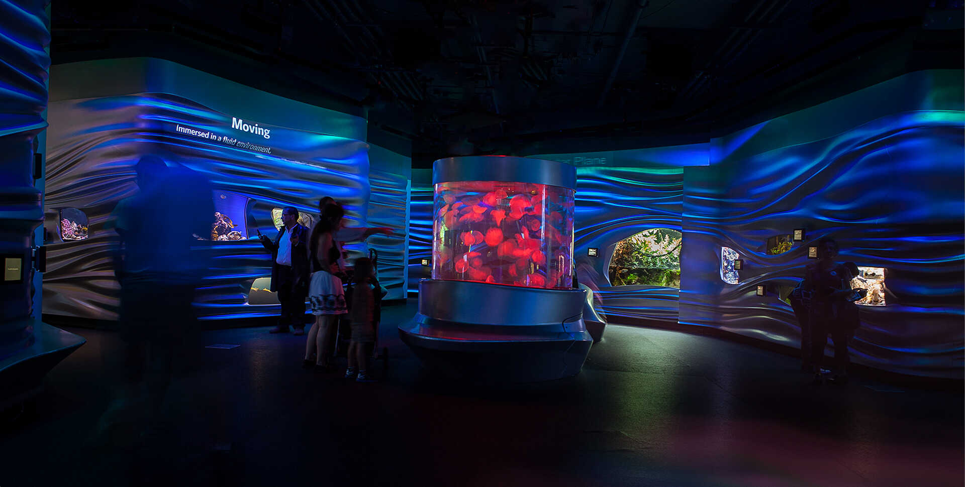 The Water Planet exhibit's blue glow creates a beautiful place for exploring watery adaptations.