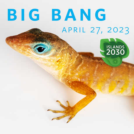 Promotional banner for Big Bang Gala 2023 with a photo of a blue-eyed gecko