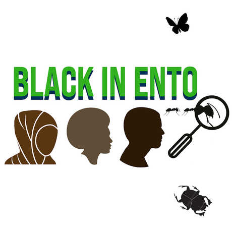 logo for Black in Ento 