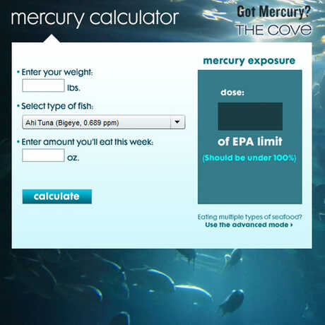 Mercury calculator by seaturles.org