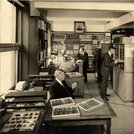 Entomology Department, 1929