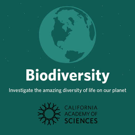 Biodiversity: investigate the amazing diversity of life on our planet