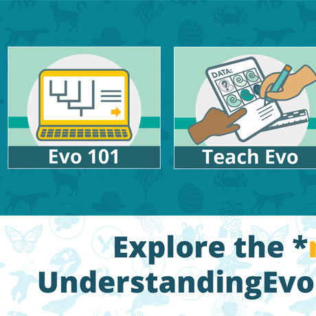 Icons to navigate a website related to teaching evolution