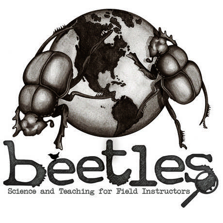 BEETLES leadership institute