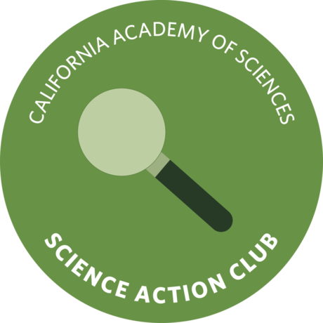 Science Action Club Nature Bundle Workbook