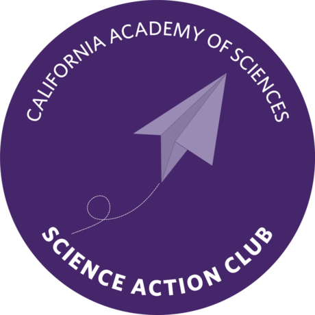 Science Action Club Nature Lab Workbooks