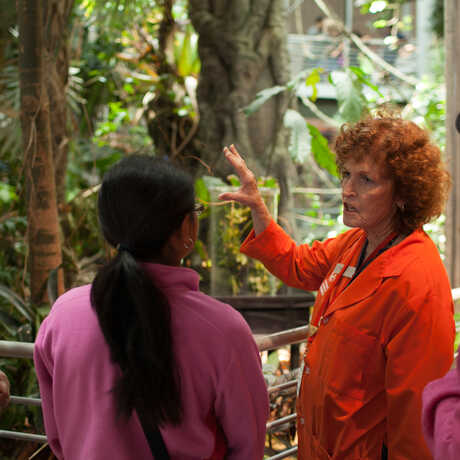 A docent answers a guest question in the Rainforest exhibit.