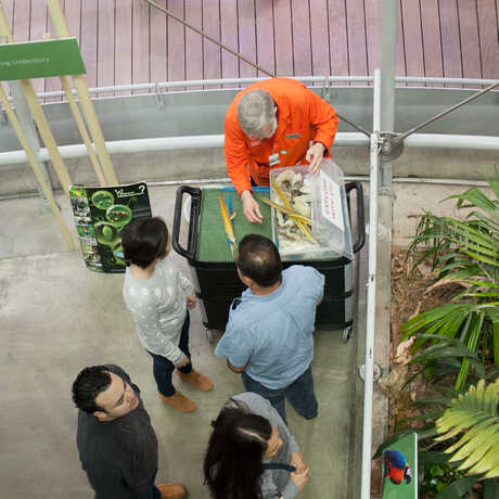 Docent cart in the rainforest dome