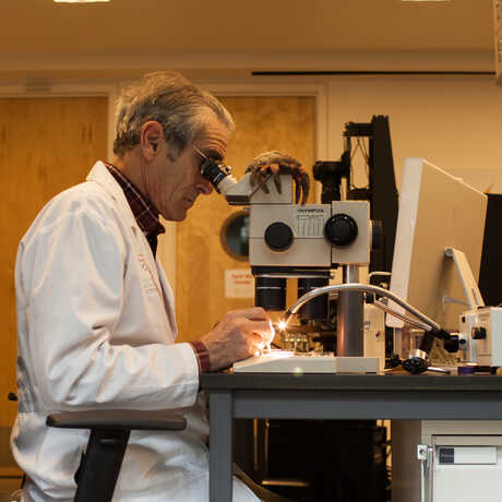 A researcher sits at an imaging station, creating macro images of very small specimens.
