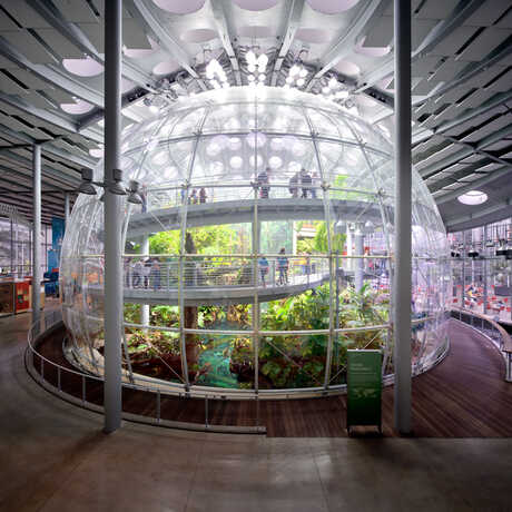 Image of the Rainforests of the World exhibit 