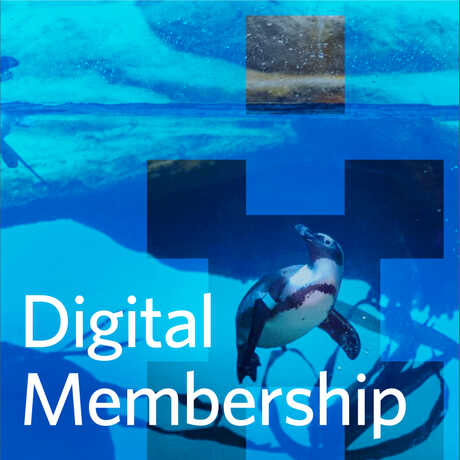 Digital membership text with penguin and blue background
