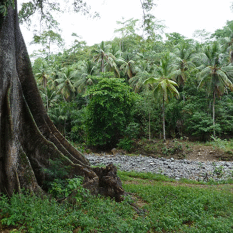 Northwest side of São Tomé