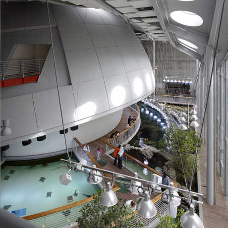True-Hybrid Planetarium