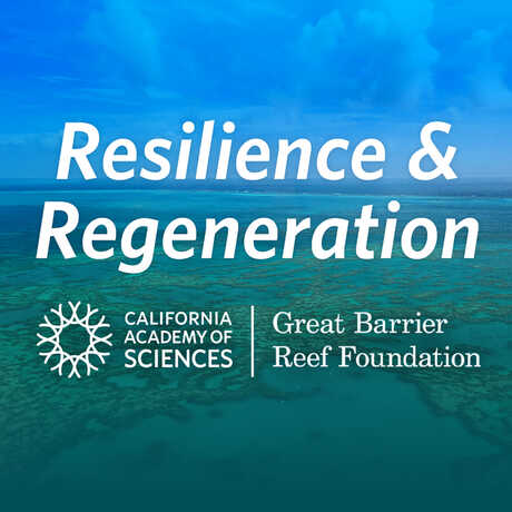 Banner image for Resilience and Regeneration member talk at the Academy