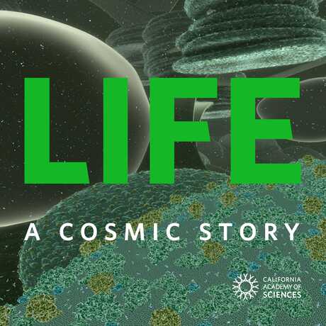 Life: A Cosmic Story poster
