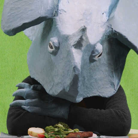 Seated figure with papier-mache dinosaur head in front of green background; Photo: Rachel Garber Cole