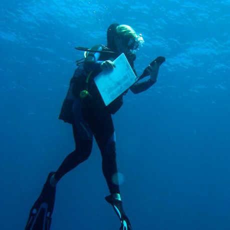 Underwater shot of Emily Darling scuba diving in Mayotte