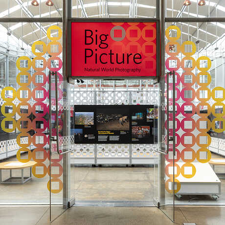 BigPicture exhibit at the California Academy of Sciences.
