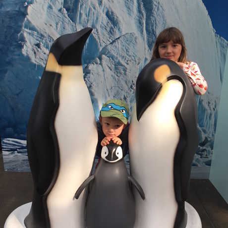 Two kids pose next to life size models of Emperor penguins