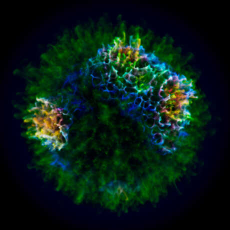 A simulation of an x-ray view of Cassiopeia A, a supernova remnant. Credit: CAS / Orlando