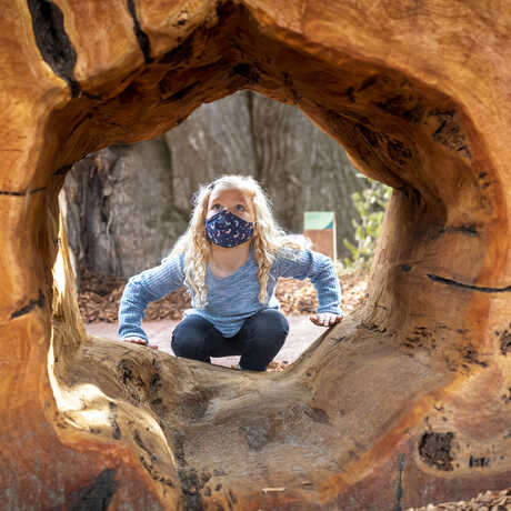 Masked girl peers through a hollow log in Wander Woods