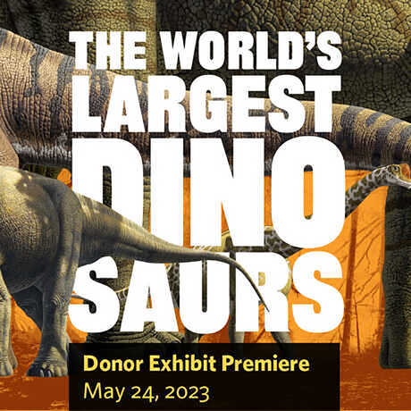 Promotional image for Academy donor event featuring dinosaur illustrations