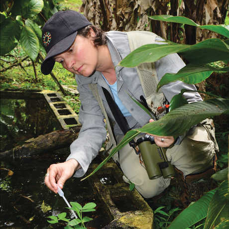 Shannon Bennett samples mosquito larvae in Costa Rica