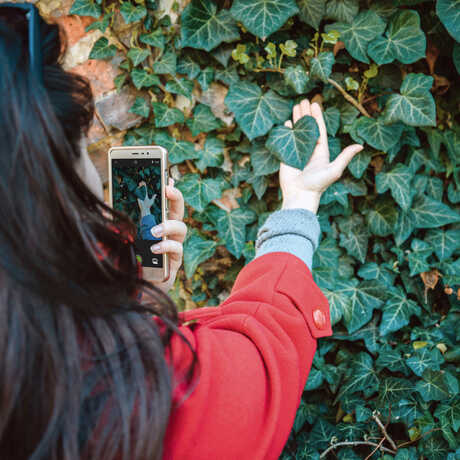 A woman uses the iNaturalist app to identify a plant