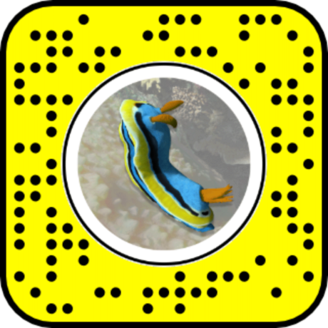 Snapcode for Nudibranch AR lens