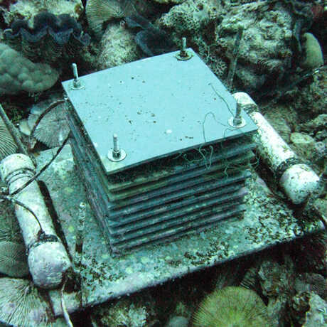 Example of an ARMS device located in the Northern Pacific. Image by NOAA.  