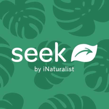 Seek by iNaturalist logo