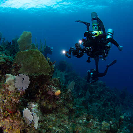 An Academy diver surveys the mesophotic coral reefs of Roatán