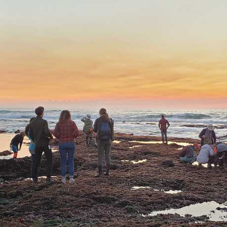 Group of people during a bioblitz at Pillar Point tidepool 