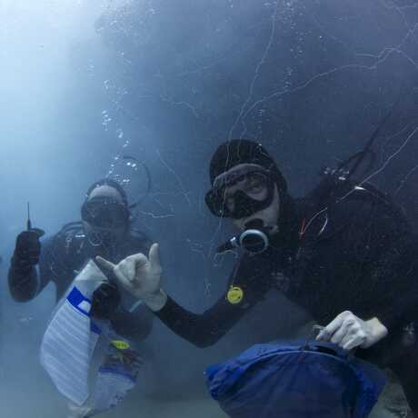 Aquarium divers