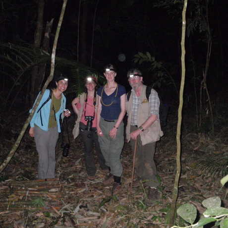 The arachnology team collecting at night in lowland forests. 