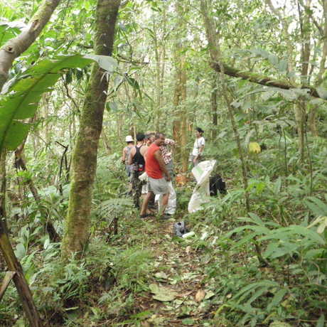 Scientists and guides in a low elevation forest in Mt. Banahaw 