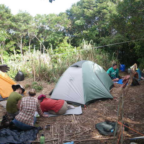 Scientists and guides relax at Banahaw summit camp