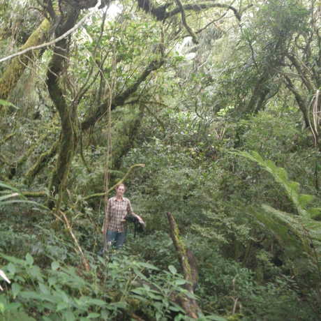 A woman in the forests at the Mt. Banahaw summit 