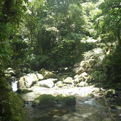 Taitai River located at Mt. Banahaw 