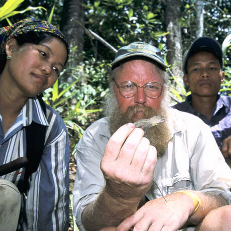 Herpetology collections manager Jens V. Vindum holds a small lizard in Myanmar