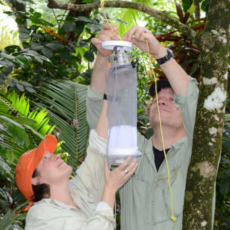 Shannon Bennett and Durrell hang an insect trap while on expedition 