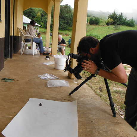 Photographing specimens in the field 
