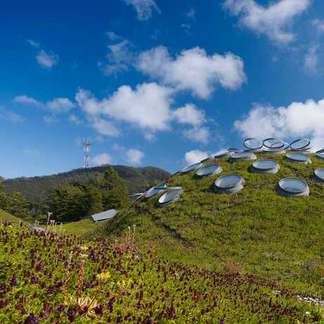 The Living Roof of the Academy of Sciences, by Tim Griffith